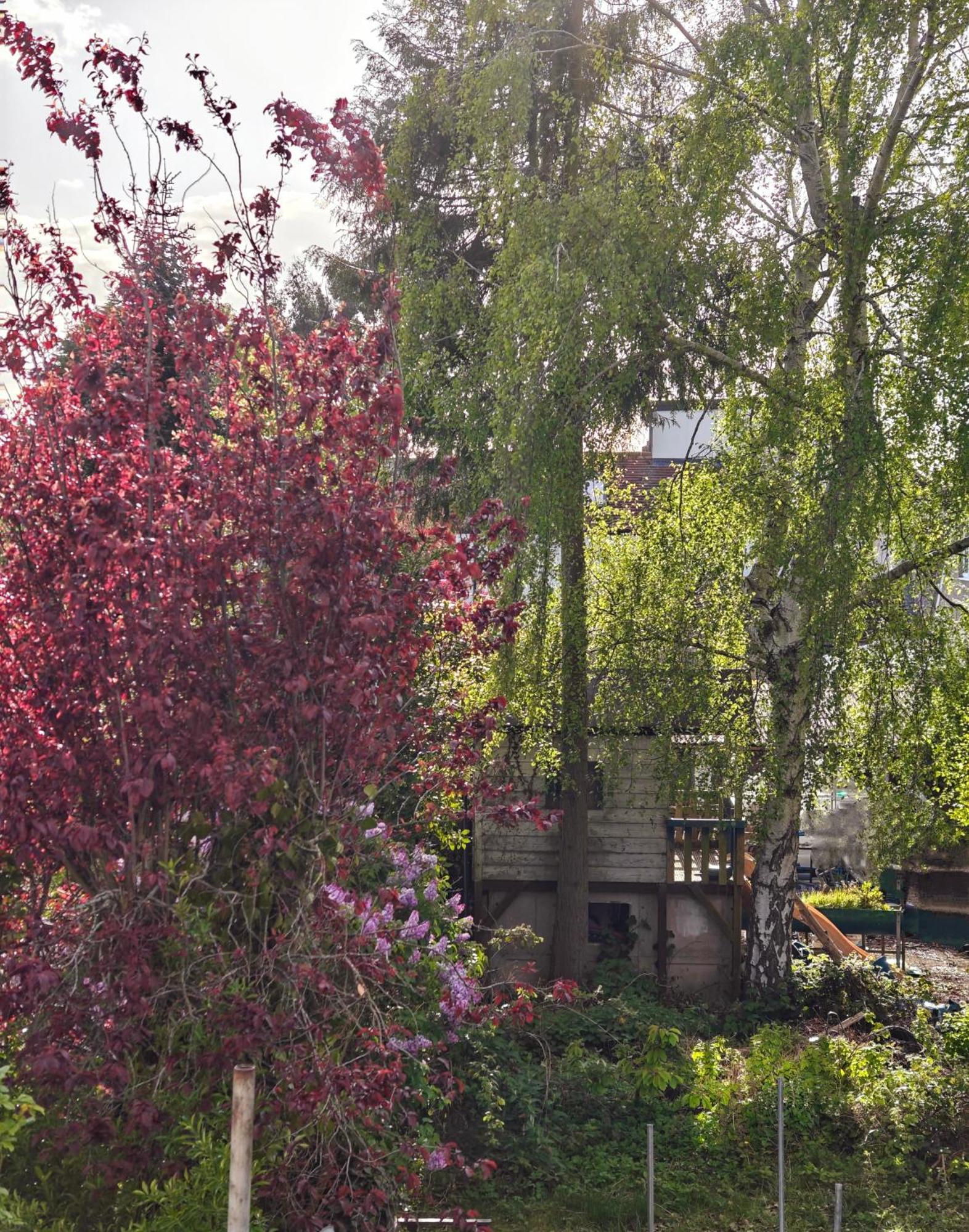 Headington Haven Homestay Oxford Dış mekan fotoğraf